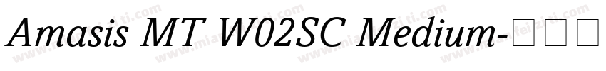 Amasis MT W02SC Medium字体转换